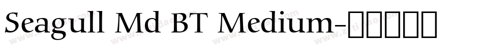 Seagull Md BT Medium字体转换